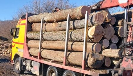 Camion cu peste 40 mc lemn furat, confiscat de polițiști în Argeș