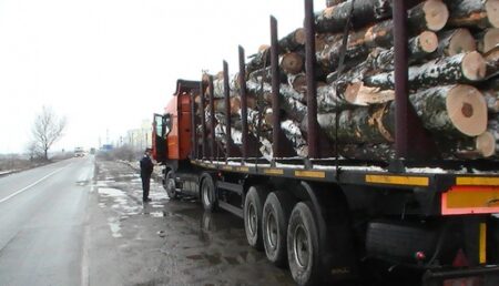 Continuă furtul de lemne în pădurile Argeșului