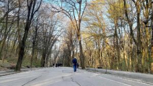 Consiliul Local Pitești și-a pus piedică singur în încercarea de a extinde și moderniza Parcul Trivale