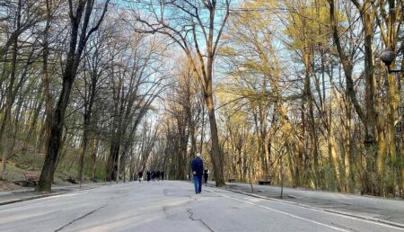 Consiliul Local Pitești și-a pus piedică singur în încercarea de a extinde și moderniza Parcul Trivale