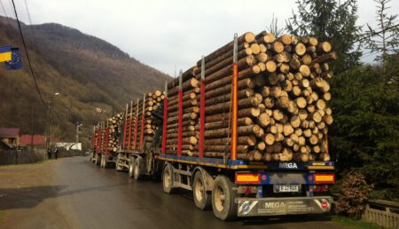 Argeș. Firmă amendată drastic pentru deținere ilegală de lemne