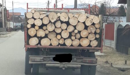 Argeș: Jandarmii au amendat mai mulți șoferi care transportau lemne