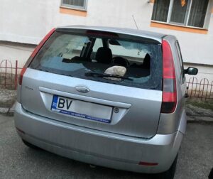 Mașină distrusă în parcare. I-a fost spartă luneta cu un pietroi