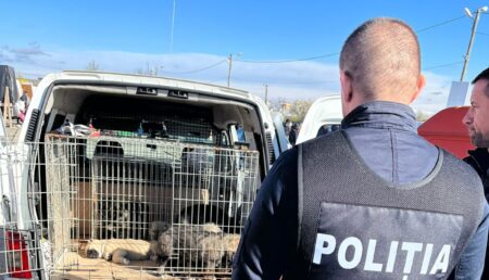 Poliția animalelor, descindere în forță la Târgul Săptămânal Pitești!