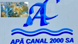 Imagini șocante! Canalizarea, ca o groapă de gunoi!