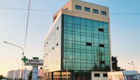Pitești: Un mega Spital Veterinar se va deschide în curând! Video