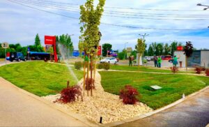 Pitești: Așa, DA! Primăria și Salpitflor au transformat un spațiu degradat într-o oază!