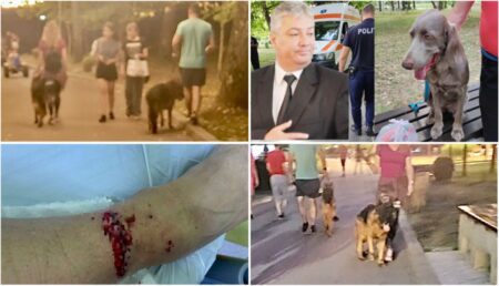 Pitești: Episodul Dănuț Dinu se poate repeta oricând! Câini plimbați fără botniță în parc