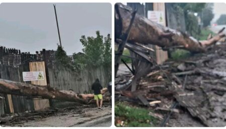 Argeș: Copaci căzuți din cauza furtunii. Circulație blocată și gard distrus