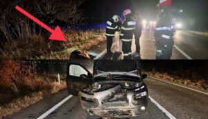 Argeș: Citroen făcut zob de un mistreț! L-a luat în plin!