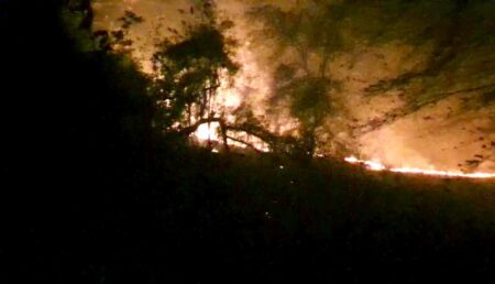 Zeci de incendii în ultimele zile, în Argeș. A ars și o pădure