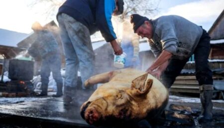 Atenție, români! Anunț alarmant despre porcul de Crăciun