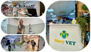 MeryVet – Cele mai bune servicii pentru animalul tău de companie!