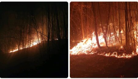 Argeș: Incendiu de proporții. Pădure mistuită de flăcări