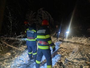 Iarna face ravagii în Argeș! Copaci, stâlpi și cabluri electrice căzute!