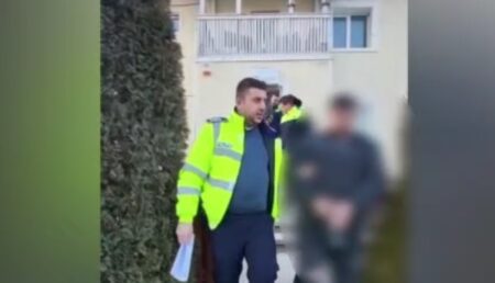Argeș. Doi bărbați au ajuns pe mâna Poliției după ce au tăiat și furat 4 copaci
