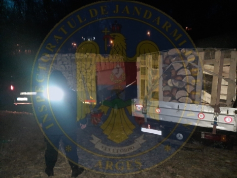 Argeș: Nereguli silvice descoperite de jandarmi. Au dat amenzi de 22.000 de lei