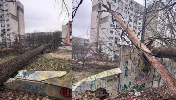 Pitești. Pericol major în Găvana!