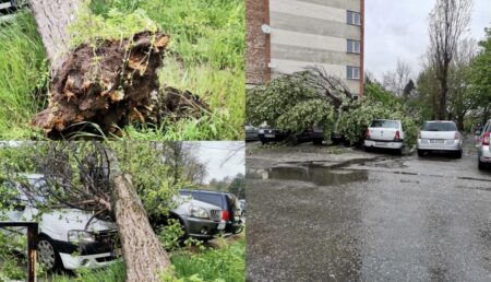 La un pas de o tragedie, în Pitești! Noroc că nu era nimeni în zonă. Mașinile, „zob”!