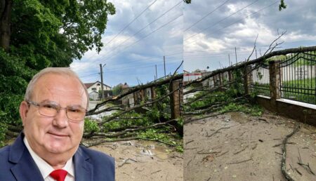 Argeș. La un pas de nenorocire, în Bascov: A căzut o „namilă” de copac pe gardul locuinței