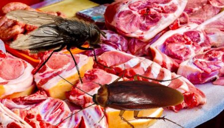 DSVSA: Se constată prezența gândacilor în cea mai mare piață din Pitești