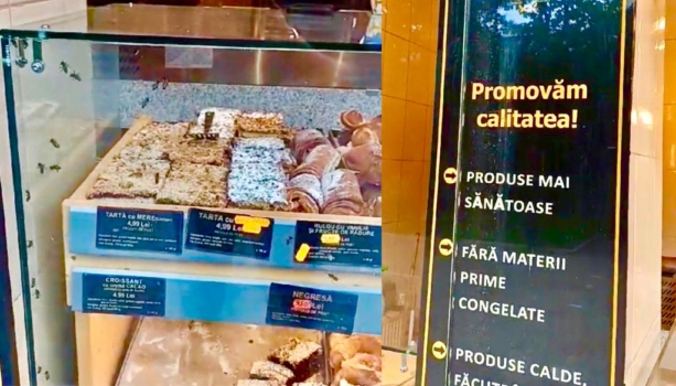Pitești. Pateuri proaspete à la Panda cu… albine! „Promovăm calitatea!”