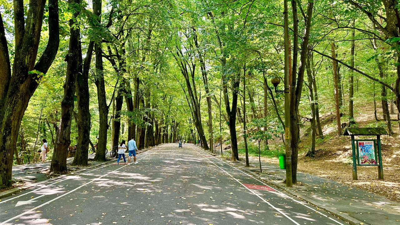O căprioară a murit în Parcul Trivale din Pitești