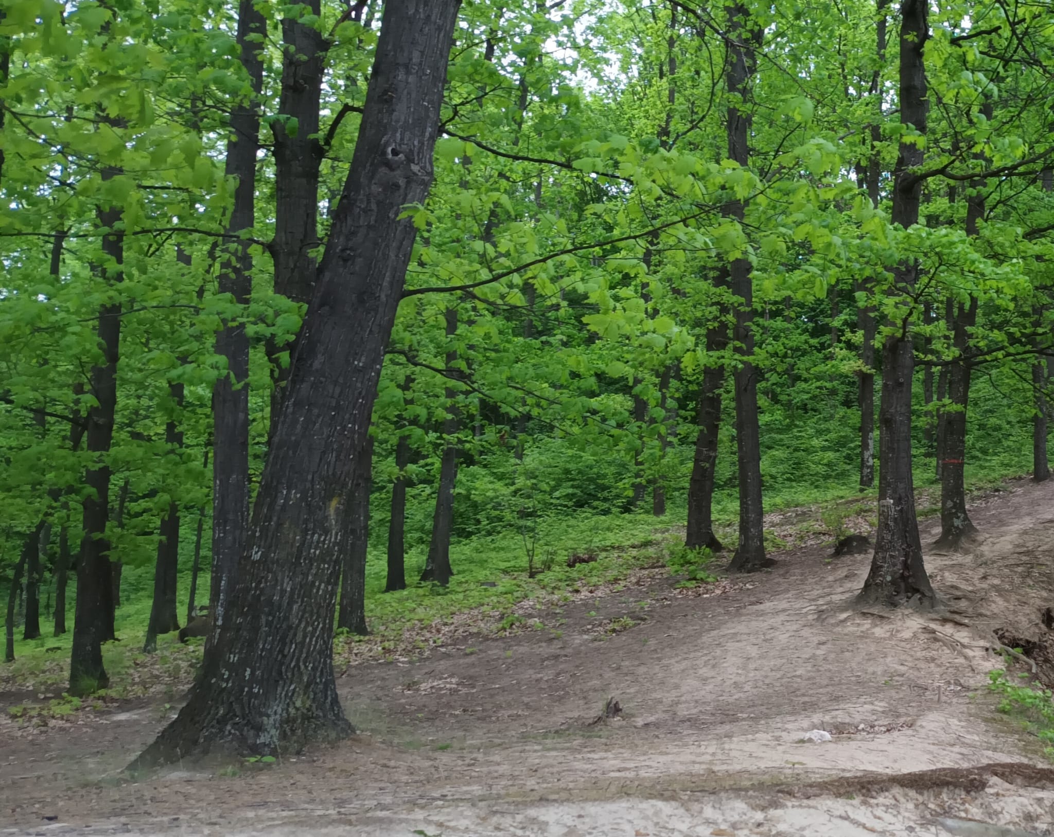 parc de agrement