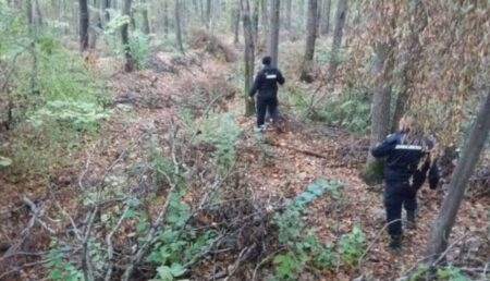 Oficial! Ce spune Poliția despre moartea suspectă a bărbatului din pădure