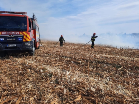 Argeș. Hectare de teren, cuprinse de flăcări