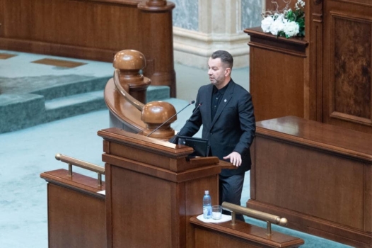 Ovidiu Puiu: Energia e motorul dezvoltării