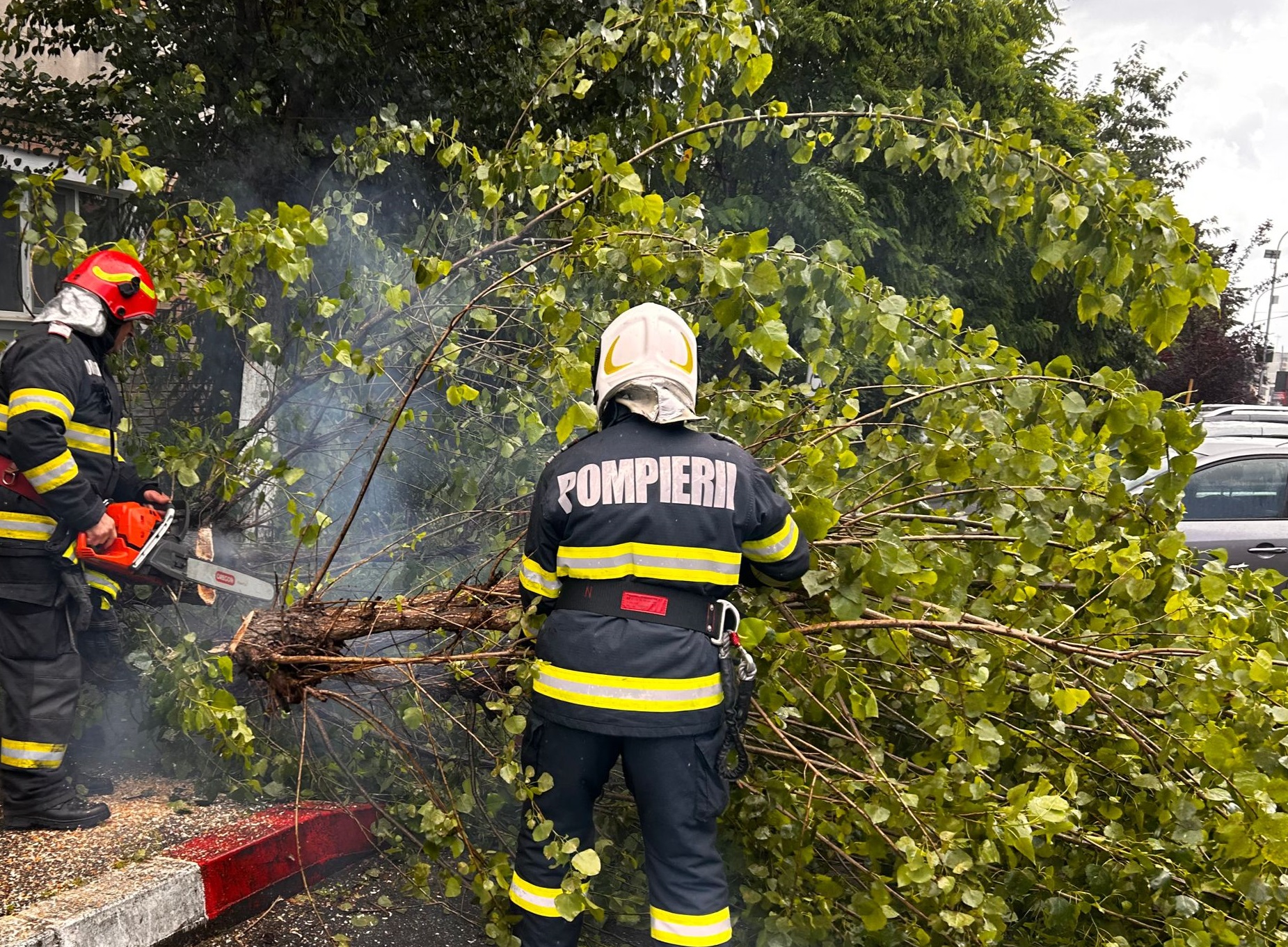 Vremea a făcut ravagii în Argeș!