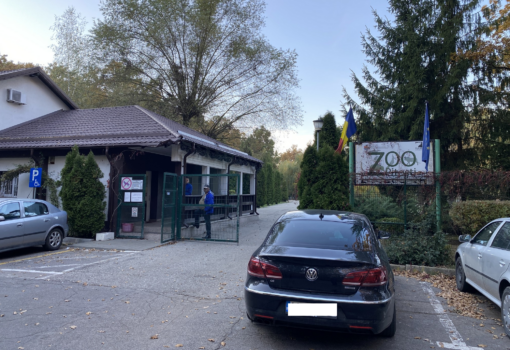 Pitești. Se întâmplă la Grădina Zoologică! Anunț mult așteptat