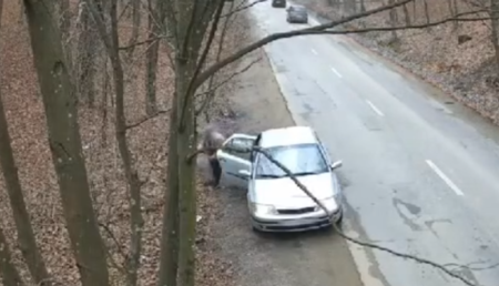 Nesimțire mare! Filmat când aruncă gunoiul pe marginea drumului, lângă Pitești