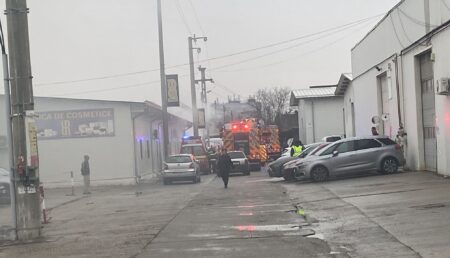 Incendiu puternic la o fabrică din Ștefănești!
