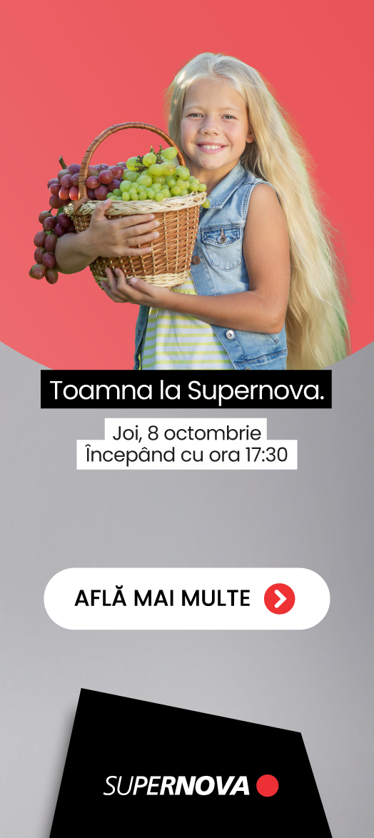 [236x587px]TârgDeJucării_epitesti