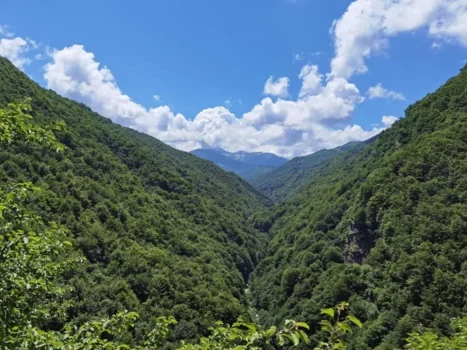 În Munții Făgăraș apare Yellowstone-ul european!