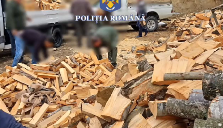 Mafia lemnului acționa în văzul tuturor, în Argeș. Cum operau hoții, cu ajutorul pădurarilor