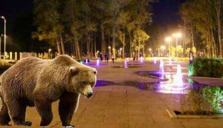 Exclusiv! Șocant: Urs în Pitești, azi -noapte! Oameni evacuați din Parcul Lunca Argeșului!