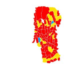 Roșu, galben și (foarte puțin) albastru: Argeșul a VOTAT