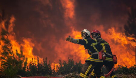 Argeș/ Așa arată o catastrofă! Peste 10 hectare făcute scrum!