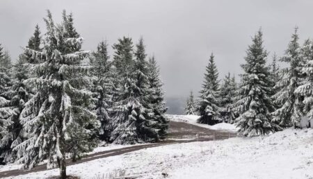 Ciclonul a adus temperaturi negative! Zăpadă în mai multe zone ale țării