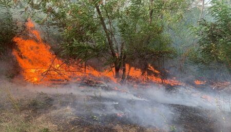 Alertă de foc în Argeș: Pompierii luptă cu flăcările în șase localități