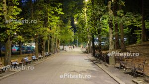 Anunț pentru piteșteni: Restricții de acces în Pădurea Trivale de la 1 august