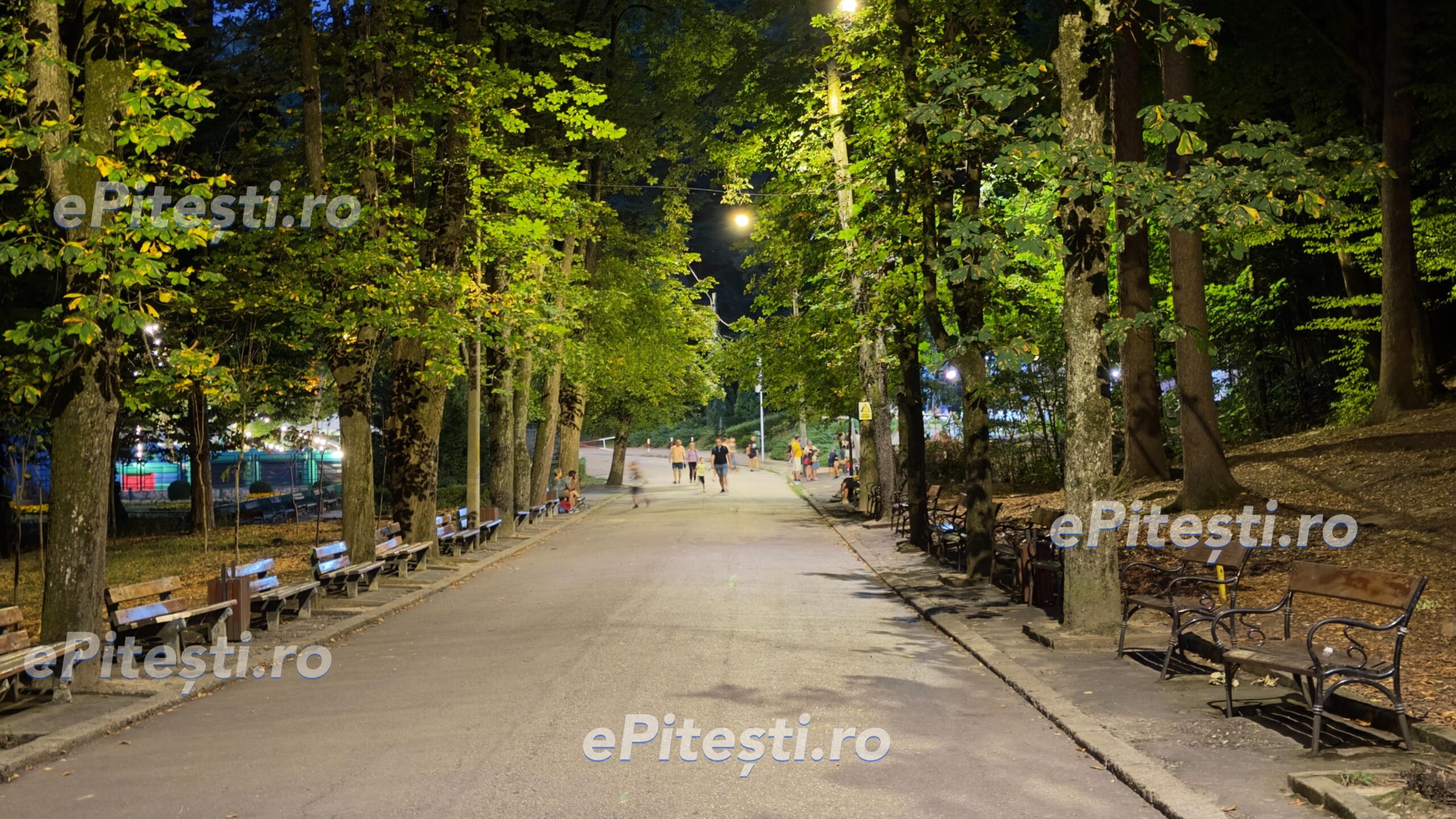 Anunț pentru piteșteni: Restricții de acces în Pădurea Trivale de la 1 august