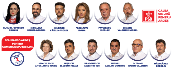 555×222 deputati- psd