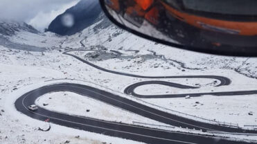 Moment spectaculos pe Transfăgărășan: Ursoaică cu doi pui filmată pe drumul acoperit de zăpadă