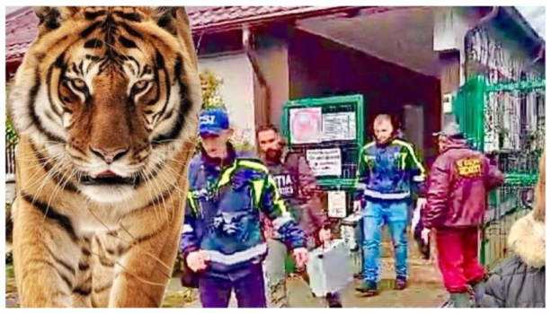 Fiica angajatului ucis de tigru la Zoo Pitești, acuzații grave: „Am aflat de pe Facebook!”
