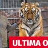 Propunere șoc pentru ZOO Pitești! Legătură directă cu tragedia care a zguduit întreaga țară!