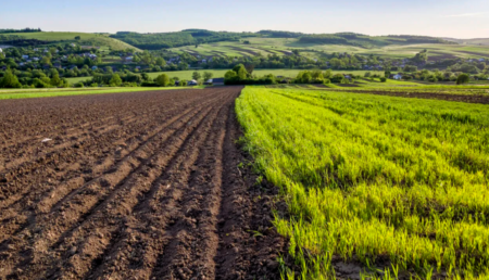 Cu cât se vinde hectarul de pământ în România. Unde e cel mai ieftin